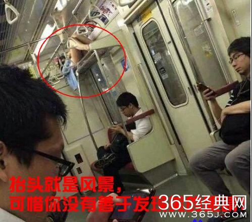 新闻哥：老爸给儿子带绿帽子！2015.12.29