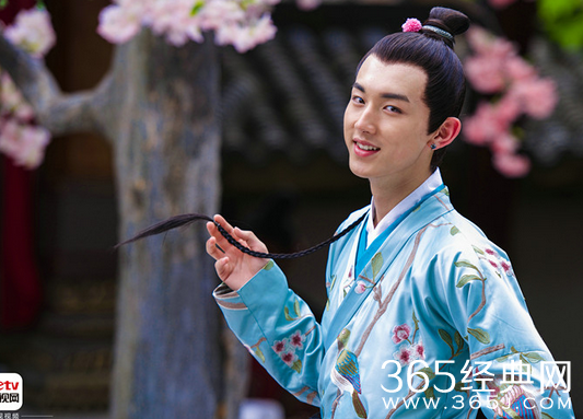 太子妃升职记杨严是谁饰演的