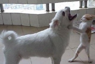 经典搞笑语录:放屁的没买票