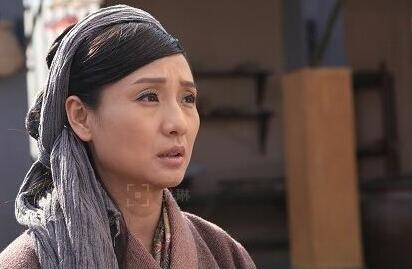 芈月传贞嫂是甄嬛传里的剪秋姑姑吗 贞嫂演员是演剪秋姑姑的吗