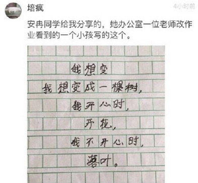 新闻哥：今晚想和苍老师一起跨年！2015.12.31