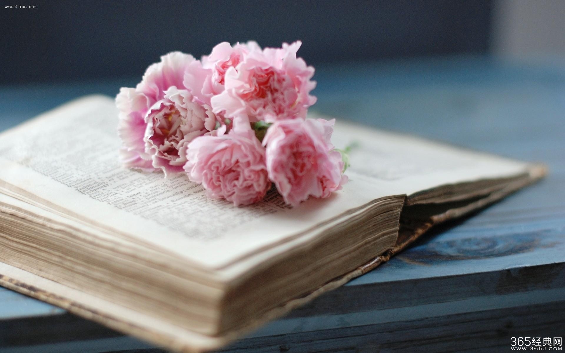 放慢脚步,静聆时光