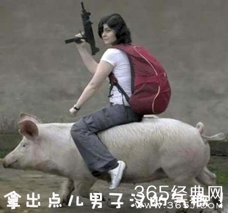 新闻哥：富人的世界我们不懂！2016.01.04