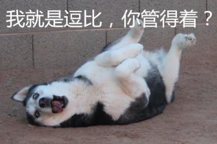 新闻哥：这年头生孩子就是赚钱！2016.01.06