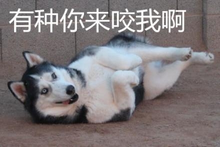 新闻哥：这年头生孩子就是赚钱！2016.01.06