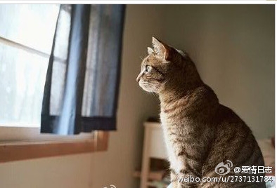 一位优秀高三老师对早恋的完美解读