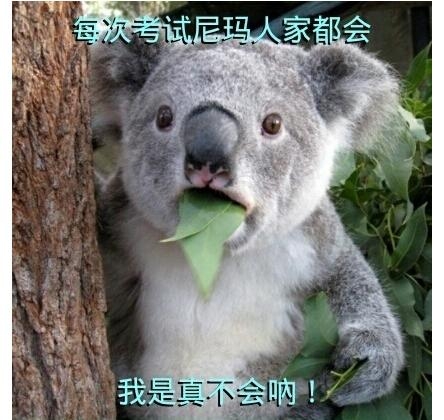 新闻哥：这年头生孩子就是赚钱！2016.01.06