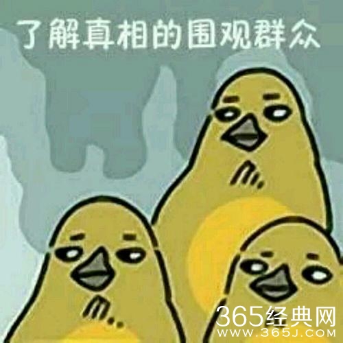 新闻哥：这年头生孩子就是赚钱！2016.01.06