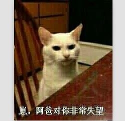 新闻哥：让充气娃娃帮守夜！2016.01.07