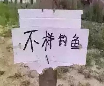 新闻哥：让充气娃娃帮守夜！2016.01.07