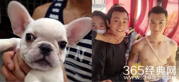 太子妃升职记导演侣皓吉吉是同性恋吗