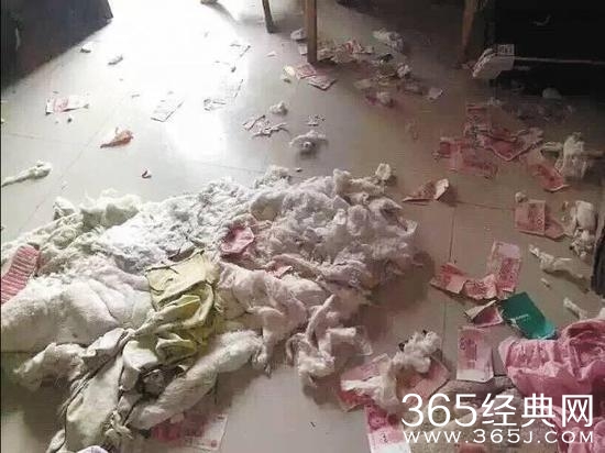 新闻哥：让充气娃娃帮守夜！2016.01.07