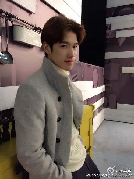 拜托了冰箱中国版姚伟涛个人资料