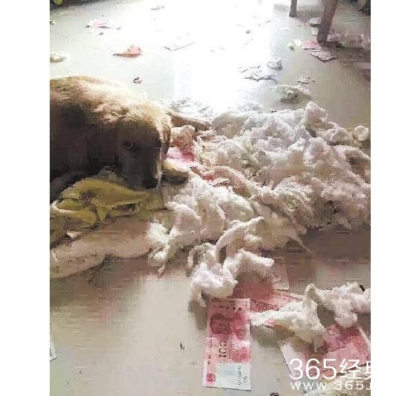 新闻哥：让充气娃娃帮守夜！2016.01.07