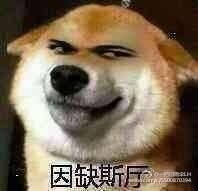 新闻哥：让充气娃娃帮守夜！2016.01.07