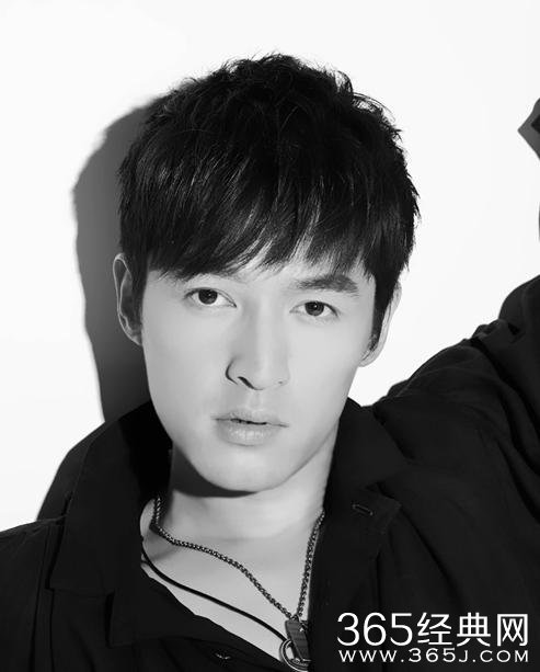 胡歌为什么不参加2016猴年春晚