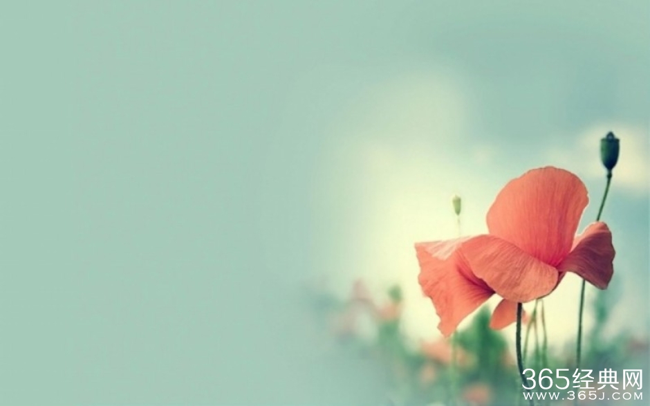 不是所有的付出都叫努力