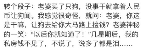 夫妻爆笑:让男人头皮发麻的老婆