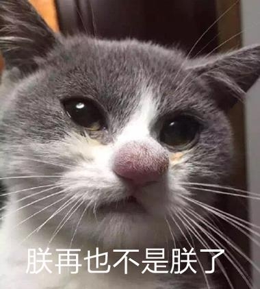 新闻哥：与动物亲密需谨慎！2016.01.11