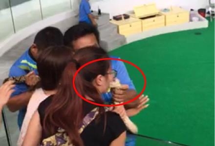 新闻哥：与动物亲密需谨慎！2016.01.11