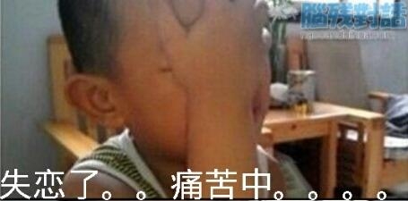 新闻哥：芈月传看得不要媳妇了！2016.01.13