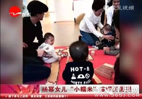 又被离婚！杨幂刘恺威到底怎么了？