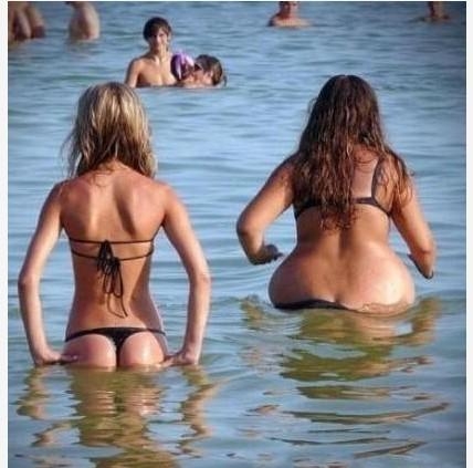 新闻哥：芈月传看得不要媳妇了！2016.01.13