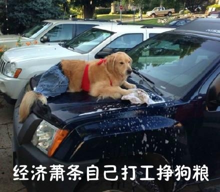 新闻哥：百姓的钱，三七分成！2016.01.14