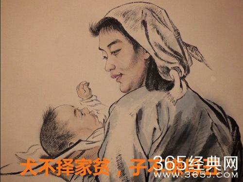 新闻哥：你们不要把宝宝惯坏了！2016.01.15