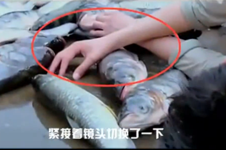 电视剧《煮妇神探》的穿帮镜头第一期