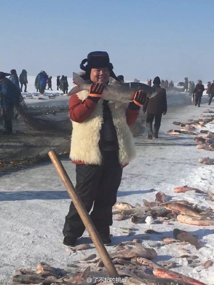 了不起的挑战第五期预告