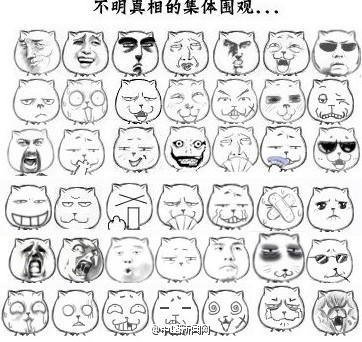 新闻哥：四九天真的冷死人！2016.01.19