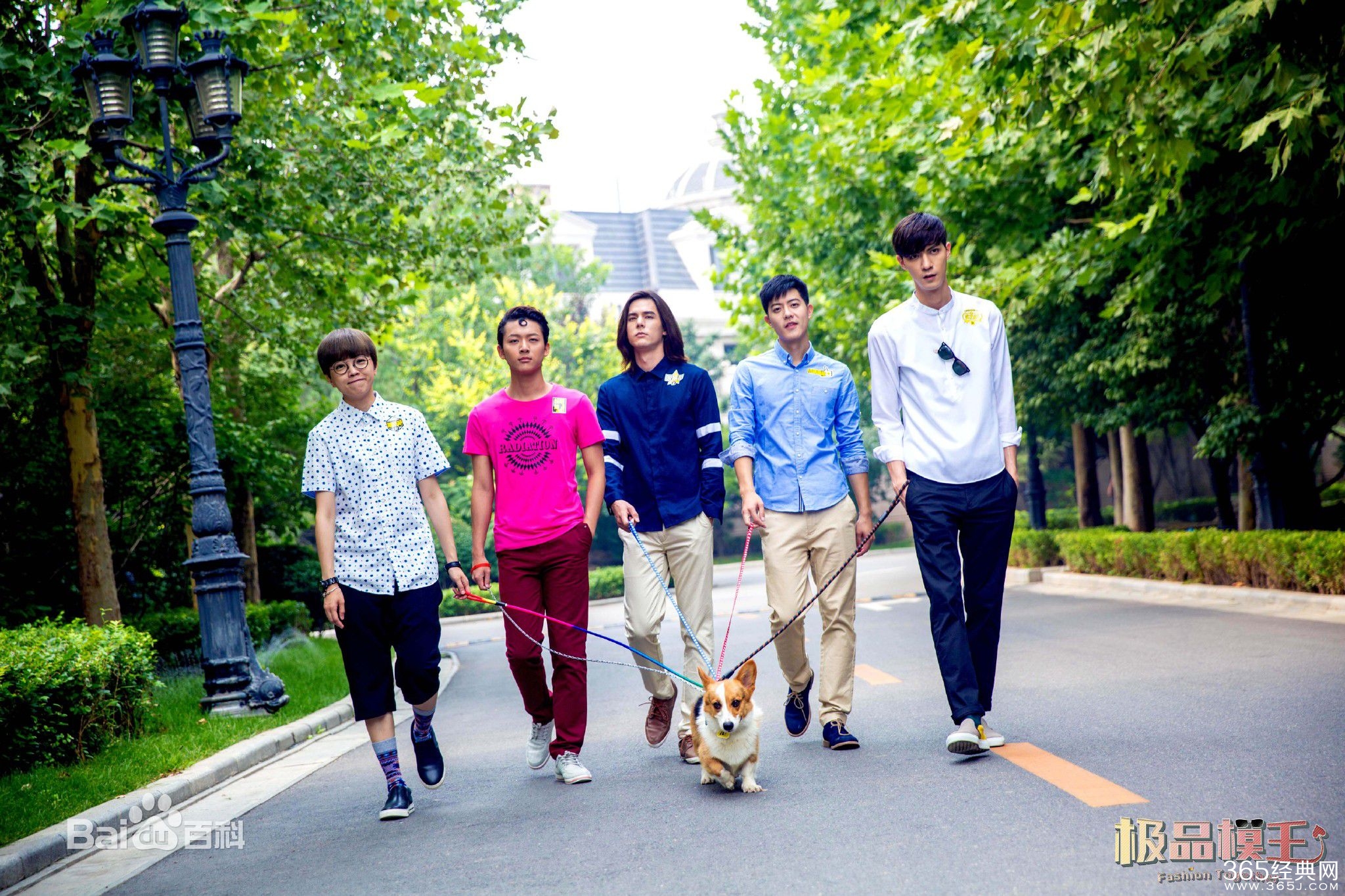 极品模王剧情介绍