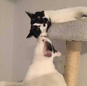 新闻哥：四九天真的冷死人！2016.01.19