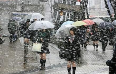 新闻哥：四九天真的冷死人！2016.01.19