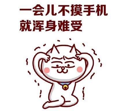 新闻哥：四九天真的冷死人！2016.01.19