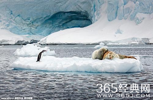 新闻哥：你的另一伴有前科吗？2016.01.20