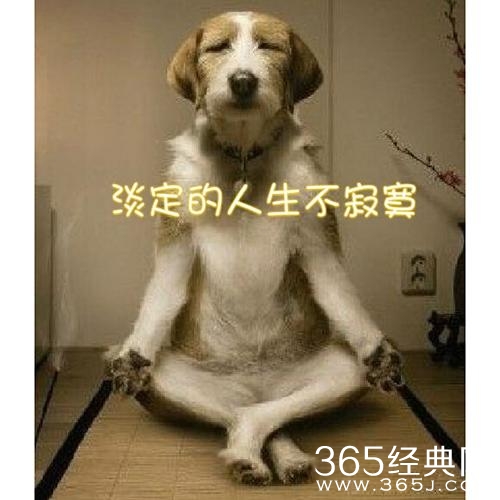 新闻哥：你的另一伴有前科吗？2016.01.20