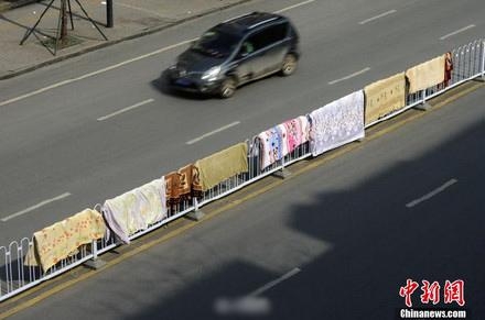 新闻哥：你的另一伴有前科吗？2016.01.20