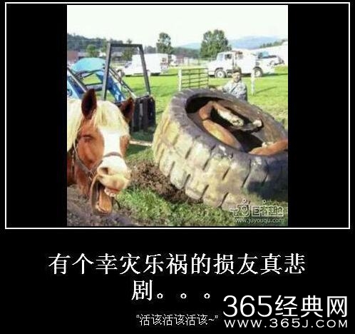 新闻哥：你的另一伴有前科吗？2016.01.20