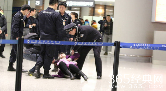 霍建华女粉丝机场打滚