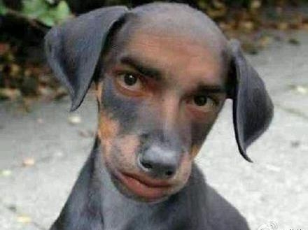 新闻哥：传说中猪一样的队友！2016.01.22