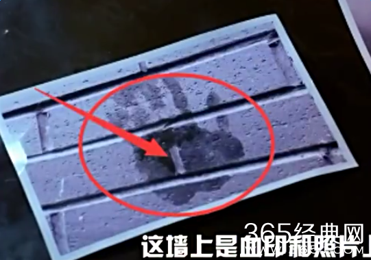 煮妇神探穿帮镜头大揭密