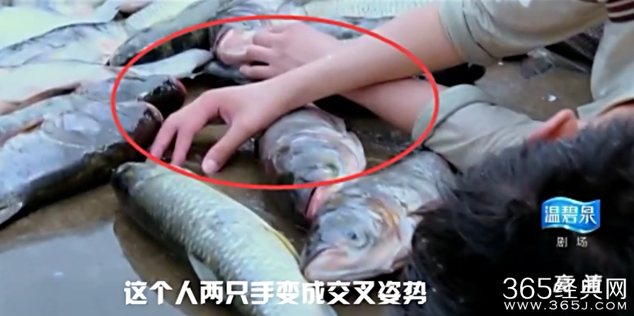 煮妇神探穿帮镜头大揭密