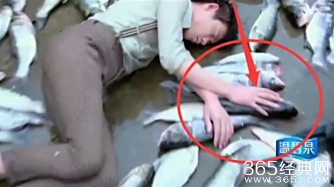 煮妇神探穿帮镜头大揭密