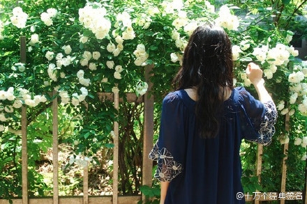 早安心语：心累到一定的程度 连生气和计较的力气都没有了。2016.01.22