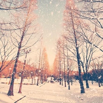 最好的就是适合自己的