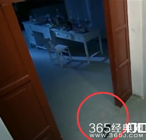 煮妇神探穿帮镜头第二期