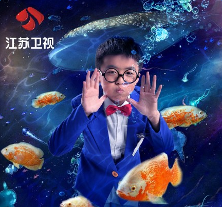 最强大脑海底总动员项目挑战视频 12岁小神童挑战视频