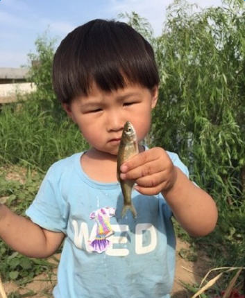 岳云鹏女儿上了不起的挑战  网友调侃：基因强大